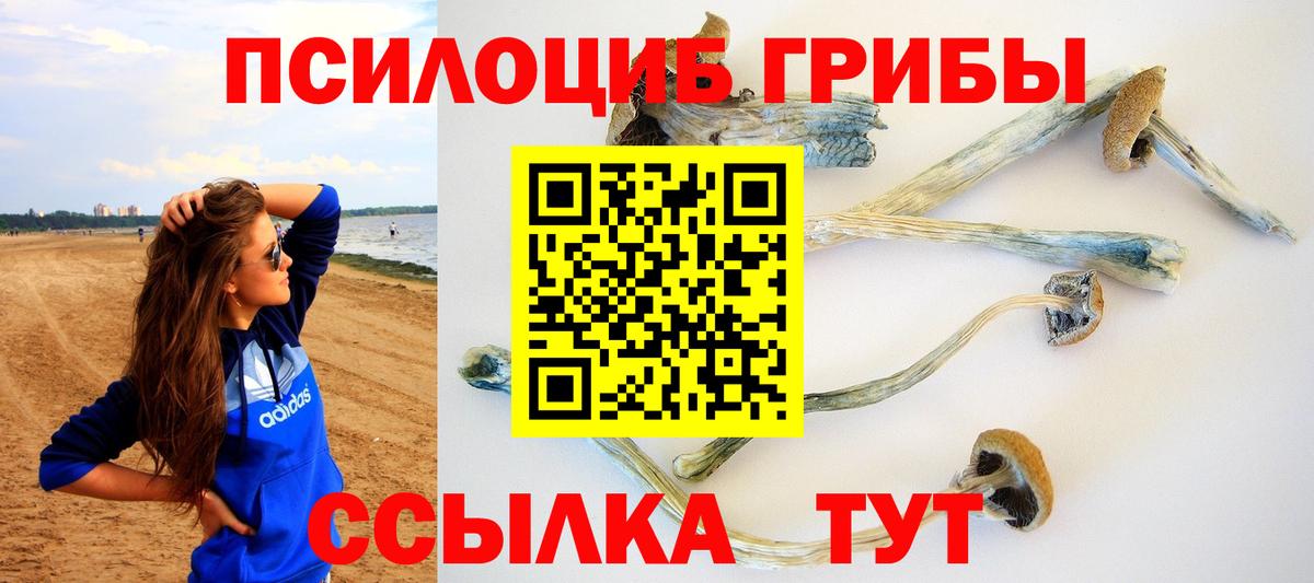 Галлюциногенные грибы GOLDEN TEACHER Пушкино
