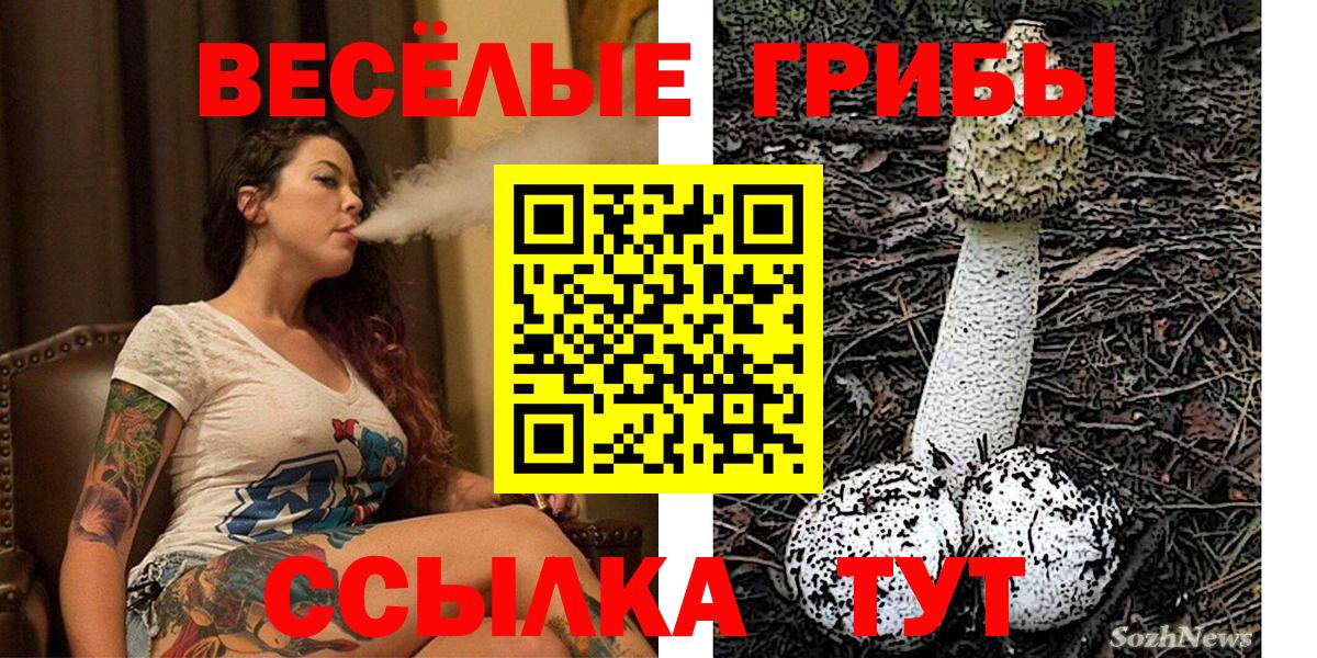 Псилоцибиновые грибы ЛСД  Галлюциногенные грибы MAGIC MUSHROOMS  Вход с VPN  Пушкино 